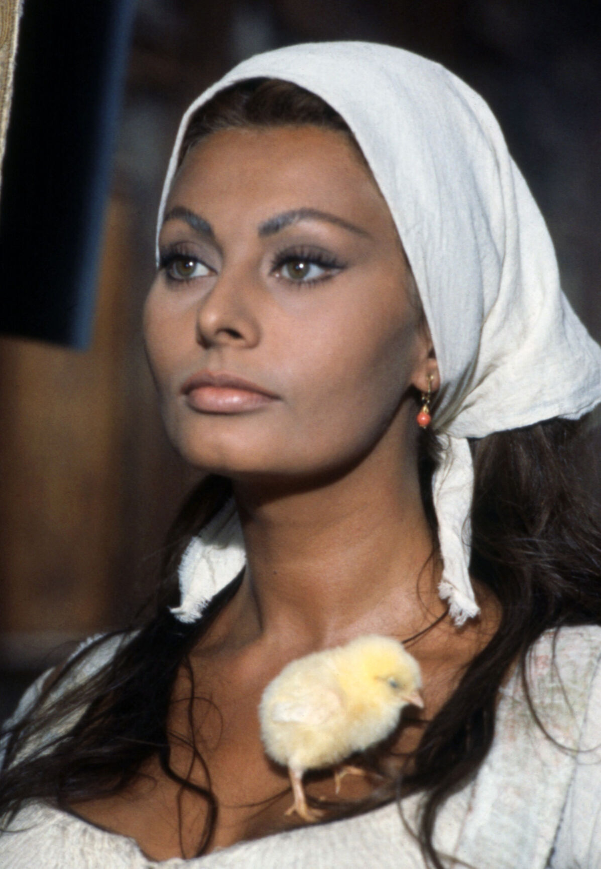 1966 Italy Sophia Loren